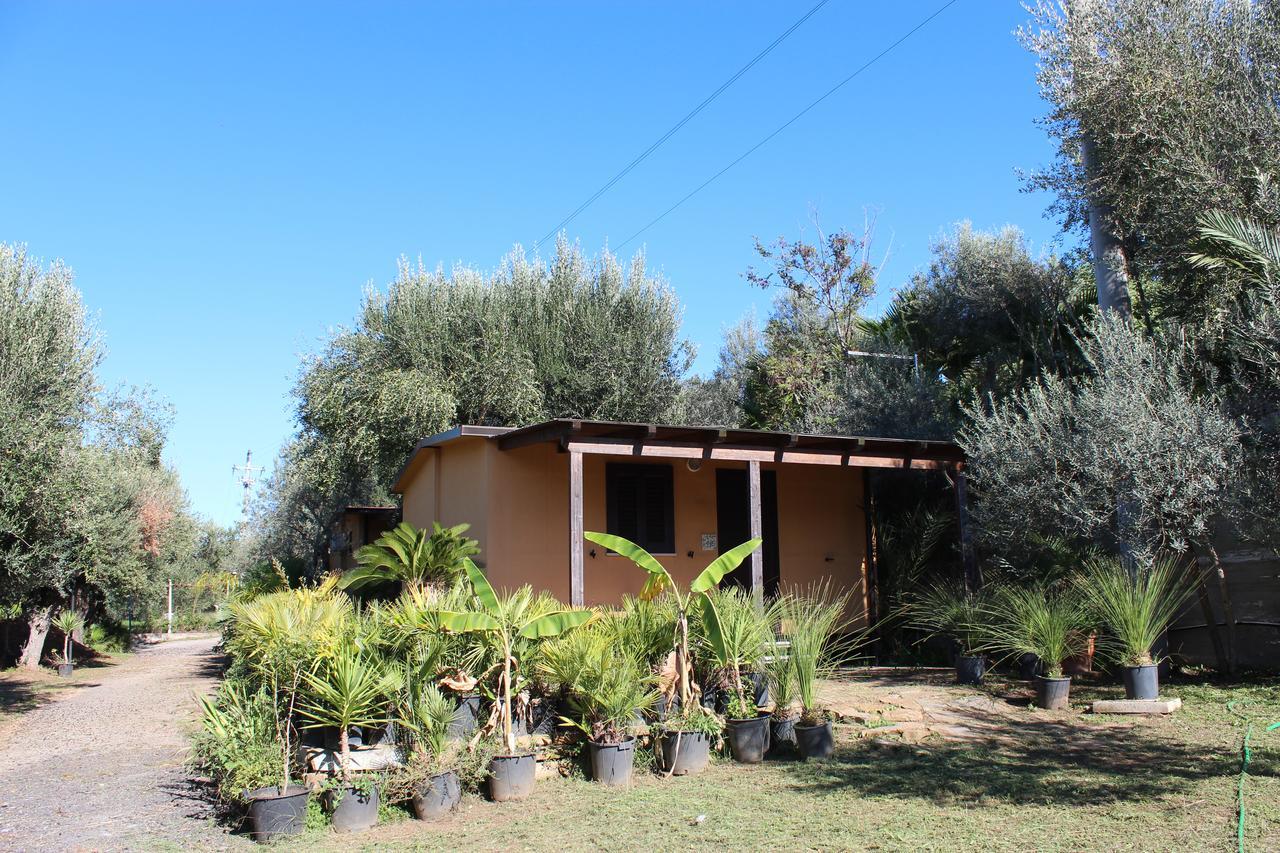 Residence Serrone Santa Maria di Castellabate Εξωτερικό φωτογραφία