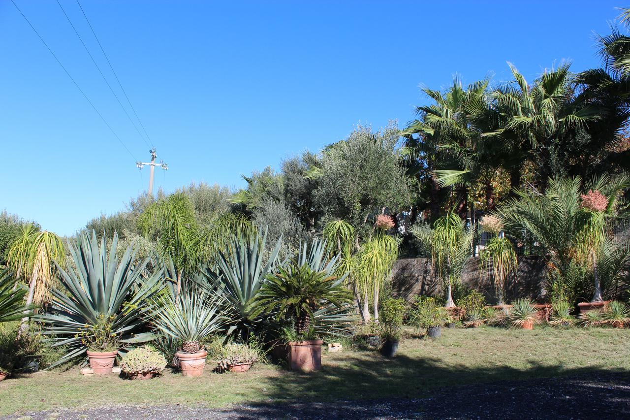 Residence Serrone Santa Maria di Castellabate Εξωτερικό φωτογραφία