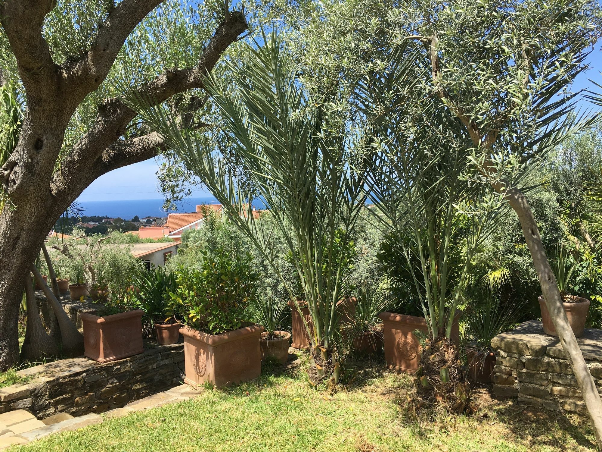 Residence Serrone Santa Maria di Castellabate Εξωτερικό φωτογραφία